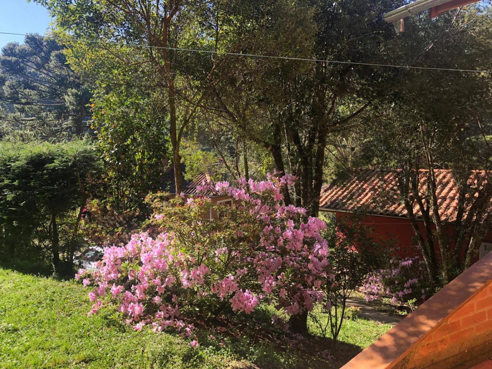 Villa Sitio Rosa De Minas à Gonçalves Extérieur photo