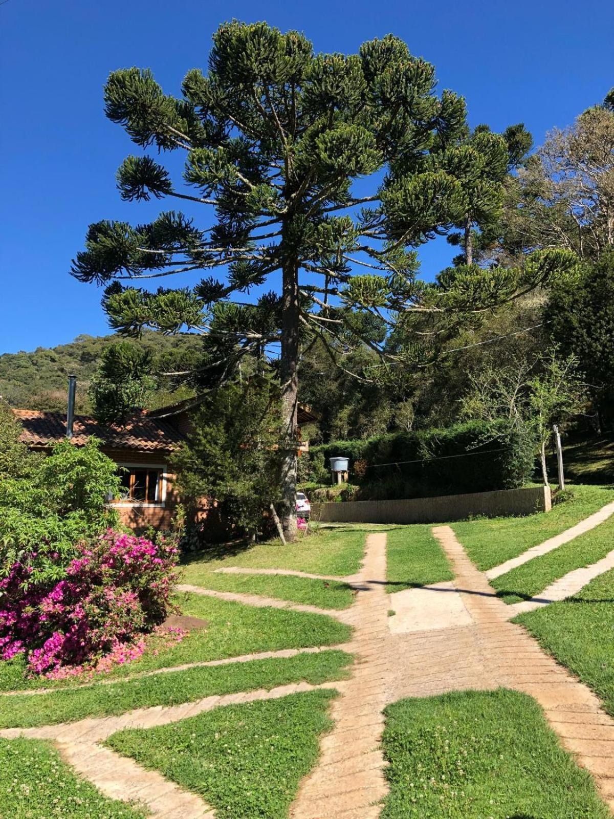 Villa Sitio Rosa De Minas à Gonçalves Extérieur photo